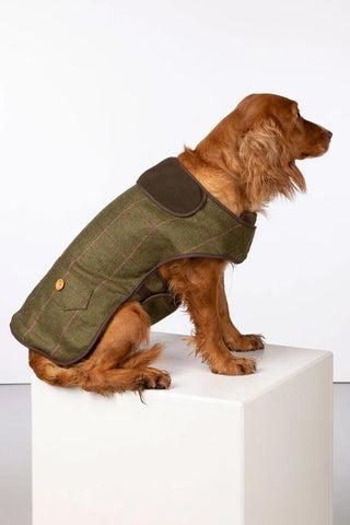 Tweed Dog Coat