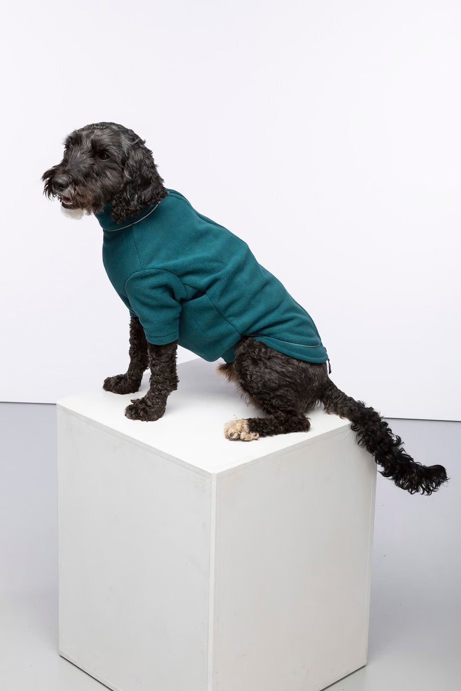 Fleece Dog Coats