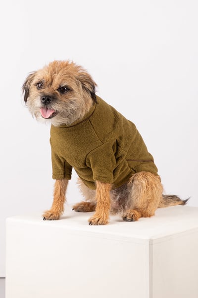 Suéter de lana para perros - Huggate - Verde militar