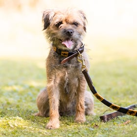 Rydale Product Placeholder Logo