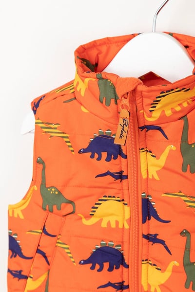 Toddler Padded Splash Gilet - Dinosaurs