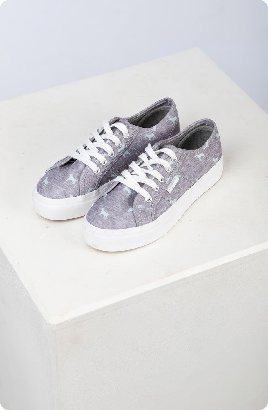 Ladies Canvas Trainers