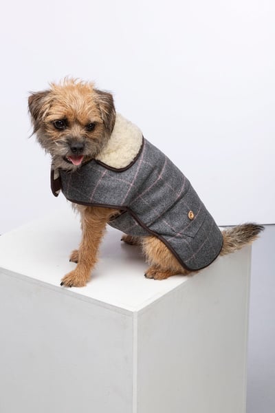 Tweed Dog Coat - Grey