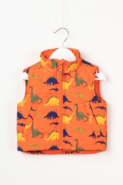 Toddler Padded Splash Gilet - Dinosaurs