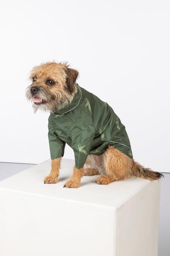 Chubasquero para perros Reino Unido | Abrigo impermeable para perros |  Rydale