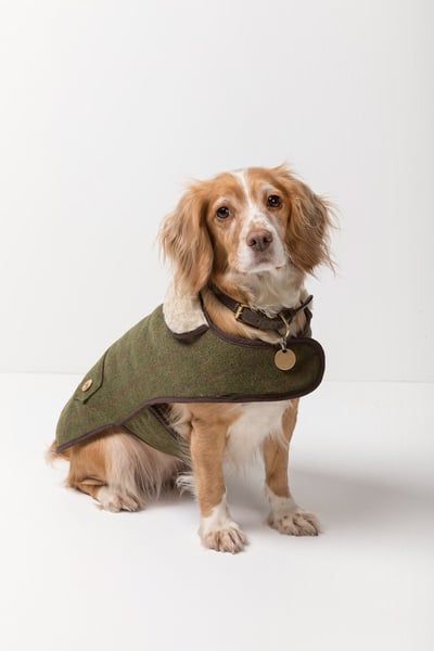 Tweed Dog Coat - Plum