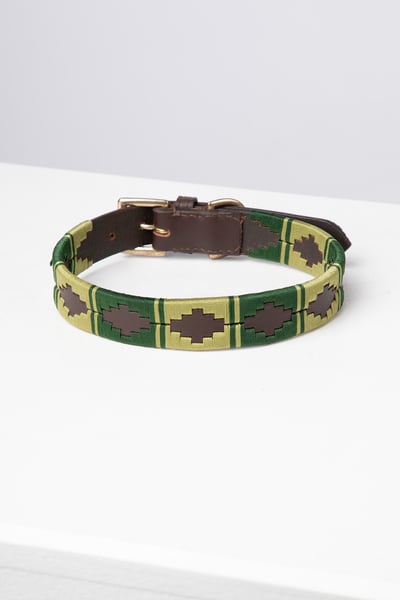 Polo Belt Dog Collar - Brown/Green/Olive