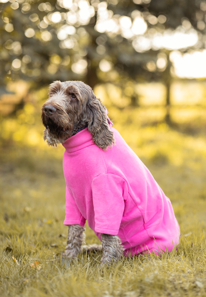 Fleece Dog Jumper