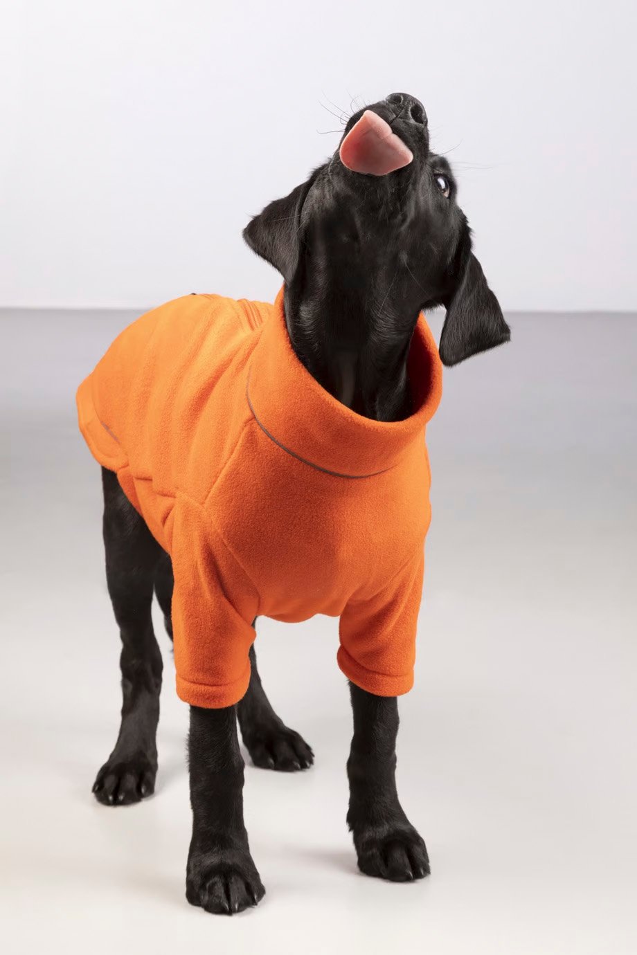 Fleece Dog Jumper