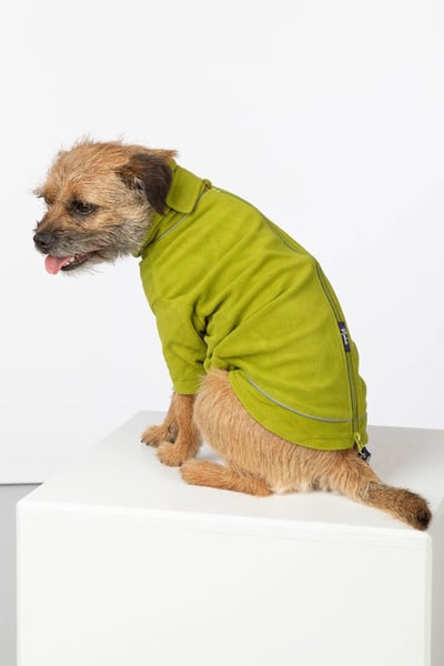 Lightweight Micro Fleece Dog Jumper - Yapham - Lime