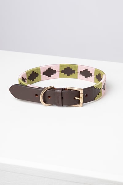 Polo Belt Dog Collar - Brown/Sage/Sorbet
