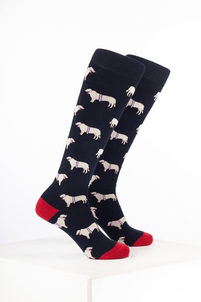 Calcetines de agua con diseño de animales para niños - Toro Campeón Azul Marino