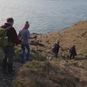 Promenades de chiens en Cornouailles