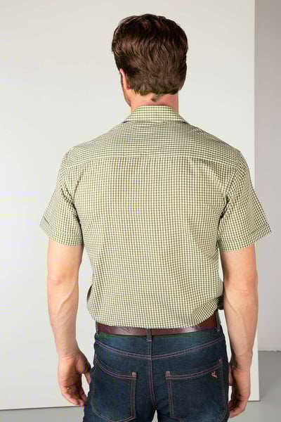 Kurzärmlige Karohemden für Herren - Millington Olive