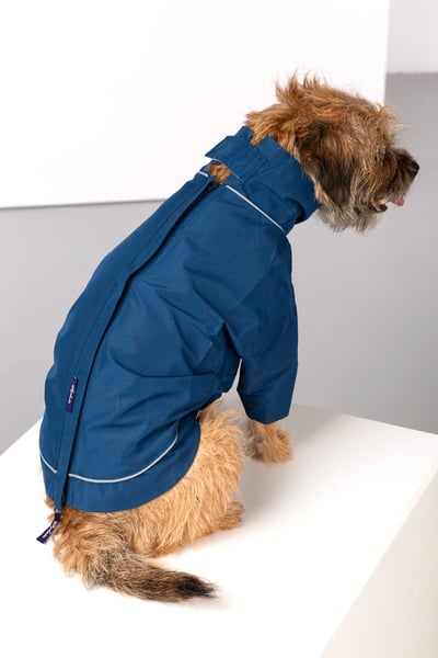 Dog Raincoats - Yapham - Denim