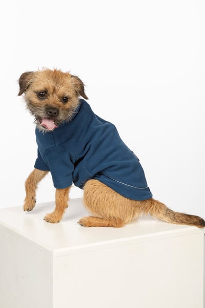 Fleece-Hundepullover - Yapham - Denim
