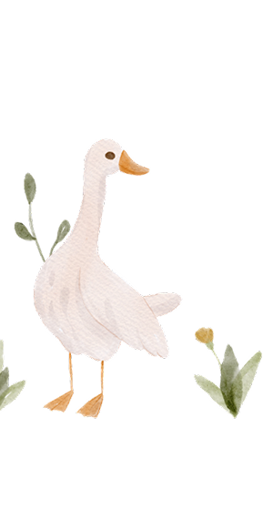 BANNER DECORATION IMAGE