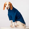 Vestes de pluie pour chiens