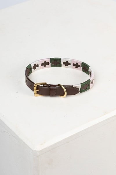 Collier pour chien Polo Belt - Kaki/Blanc/Sorbet