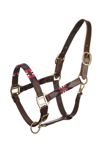 Polo-Kopfkragen - Bonbon/Marine/Weiß