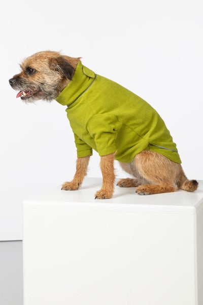 Lightweight Micro Fleece Dog Jumper - Yapham - Lime