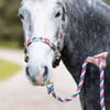 Cuerdas de plomo para ponis y caballos