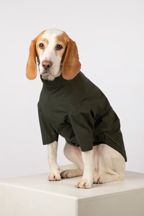 Dog Raincoats - Yapham