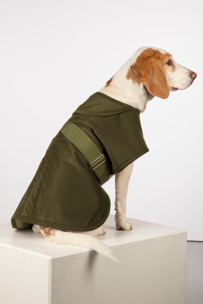 Fleece Lined Dog Coat - Danby - Khaki