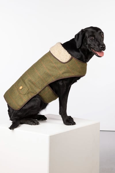 Tweed Dog Coat - Dark Check