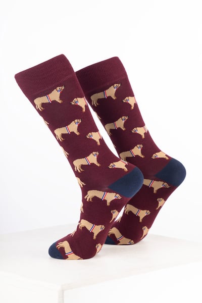 Men’s Farm Ankle Socks - Champion Bull Wine
