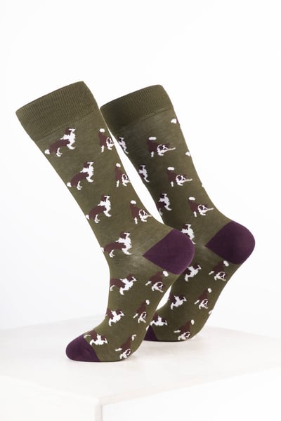 Damen-Hundesocken - Border Collie Dunkeloliv