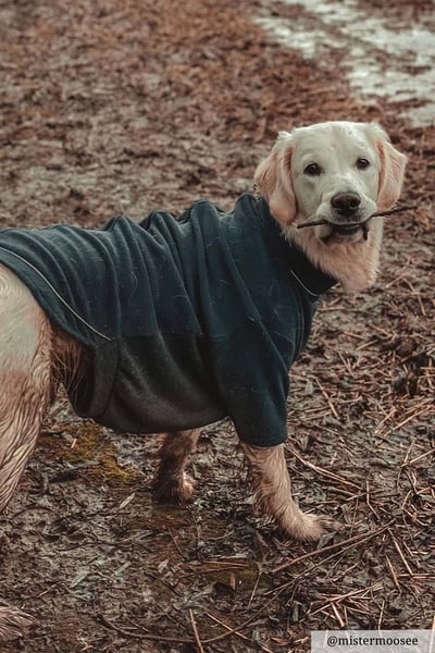 Fleece-Hundepullover - Yapham - Wald