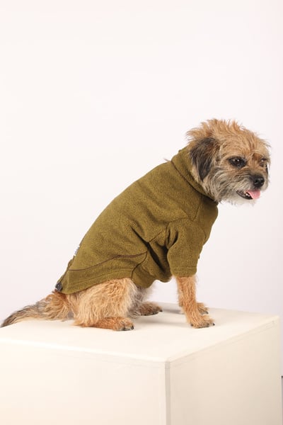 Suéter de lana para perros - Huggate - Verde militar