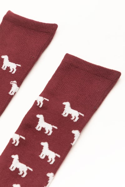 Men's Labrador Socks - Burgundy