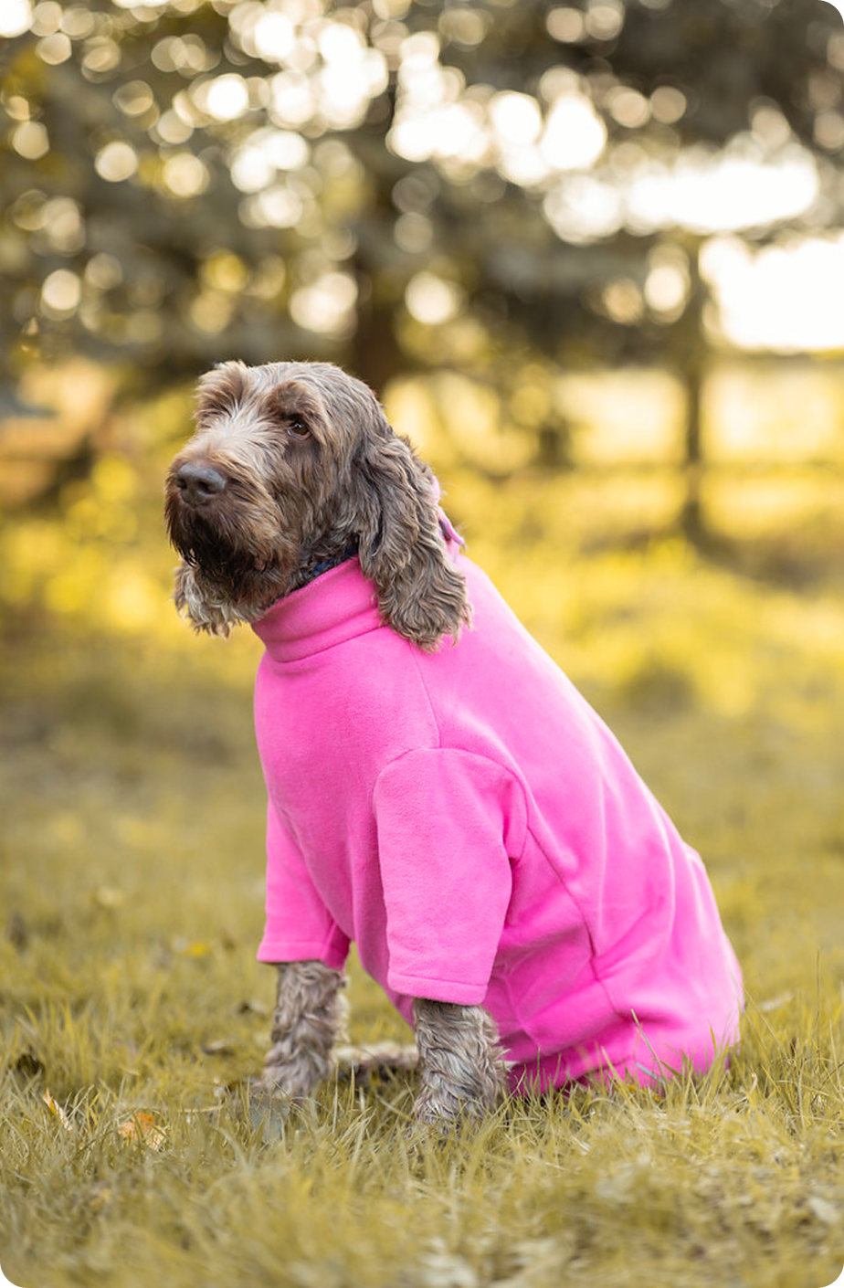 Fleece Dog Jumper
