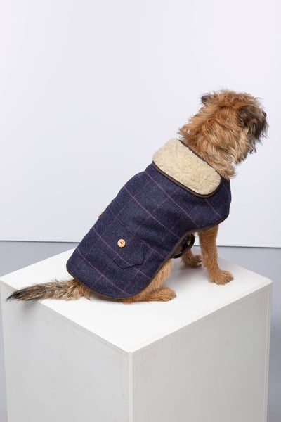 Tweed Dog Coat - Navy