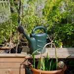 Watering Cans & Accessories