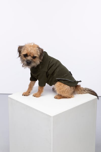 Pheasant Fleece Dog Jumper - Haxby - Khaki