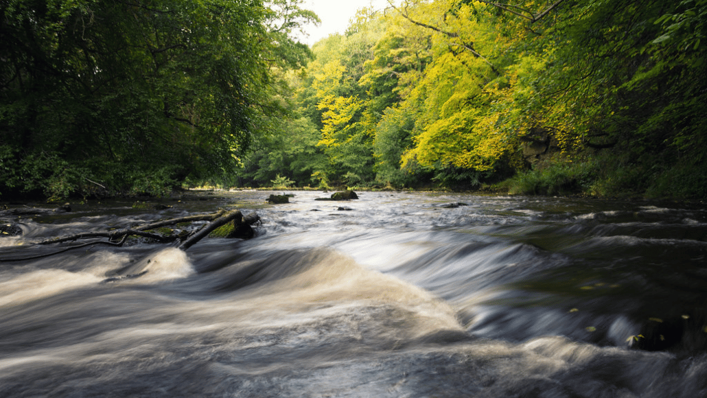Nidd-Schluchtwasser