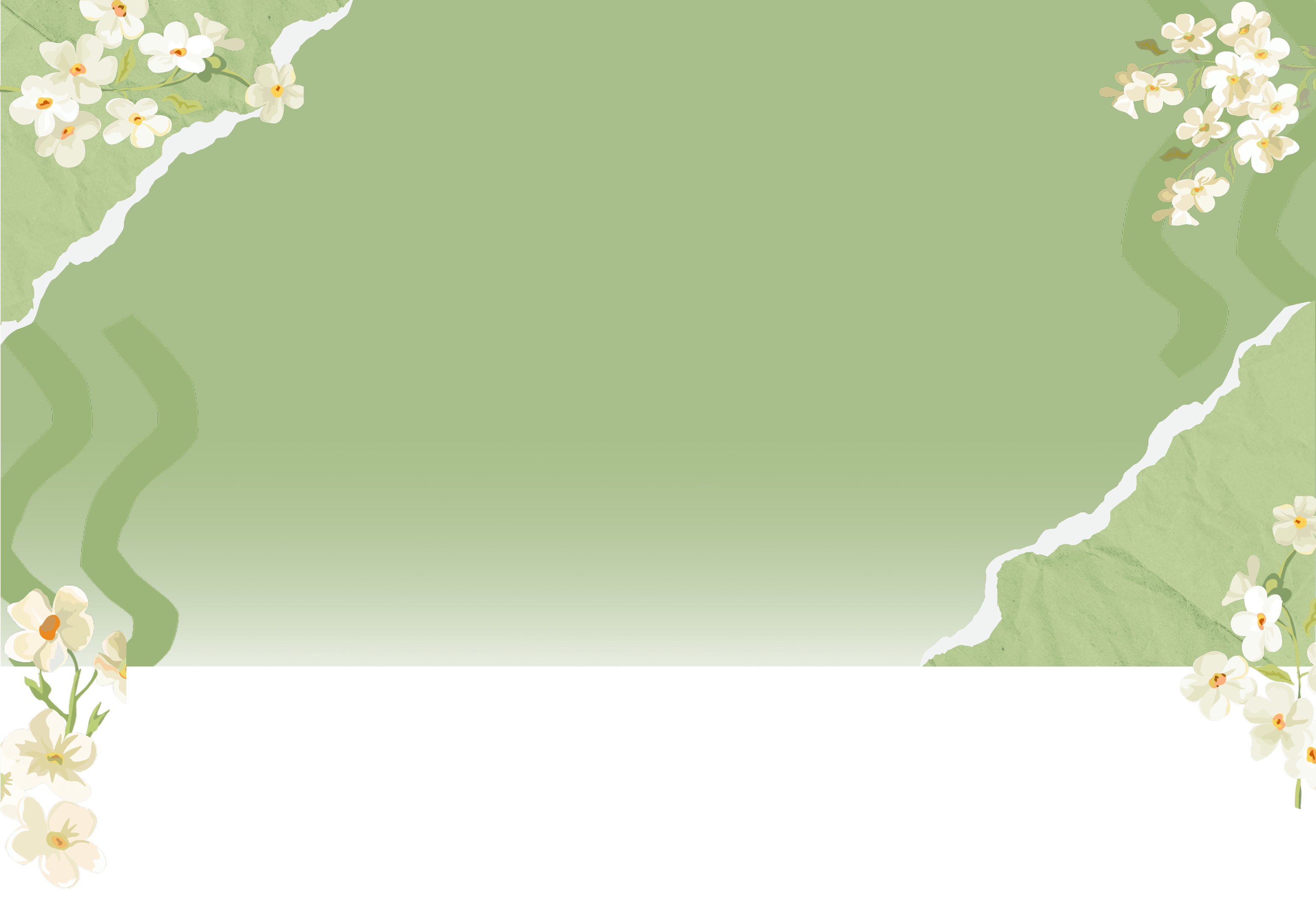 Homepage Banner Image Desktop