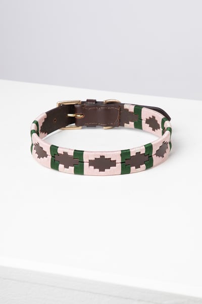 Hundehalsband mit Polo-Gürtel - Brown/Sorbet/Olive
