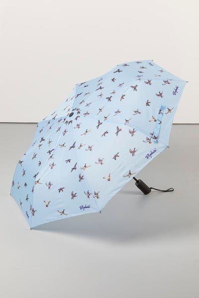 Compact Umbrella - Flying Duck Haze