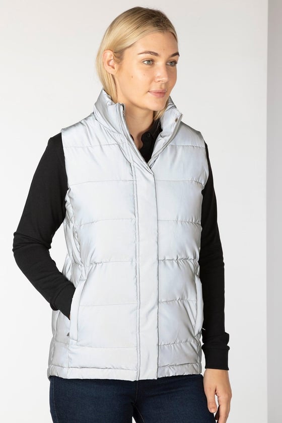 https://imagedelivery.net/qQVYSIvyXiV4MHZje7HLkA/v73JrMmlIaLR81lo-hi-vis-silver-ladies-reflective-waistcoat/560w