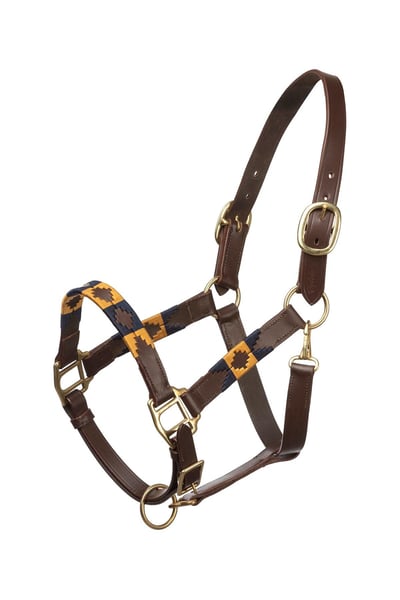 Polo Head Collar - Navy/Mustard