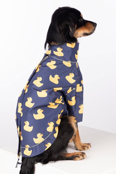 Spritzschutz für Hunde - Yapham - Quacksalber