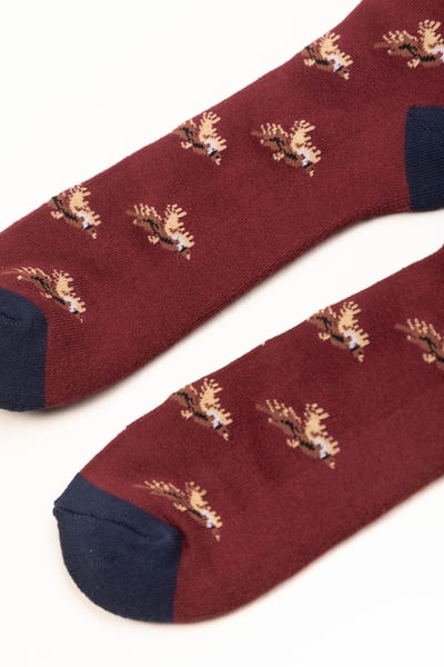 Chaussettes Faisan Volant pour Homme - Bourgogne