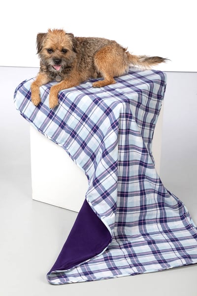 Fleece Dog Blanket - Yapham - Sally Purple
