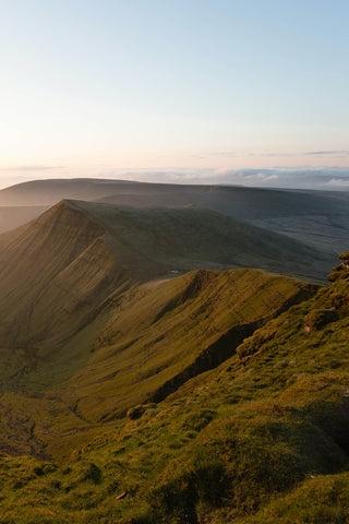 3 Welsh Dog Walks You Can’t Miss!