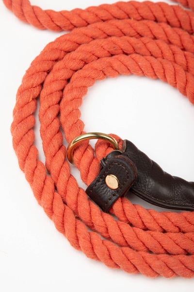 Rope Slip Lead – Yapham - Burnt Orange