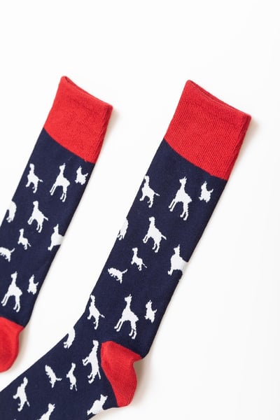 Calcetines de hombre con estampado de varios perros - azul marino/rojo
